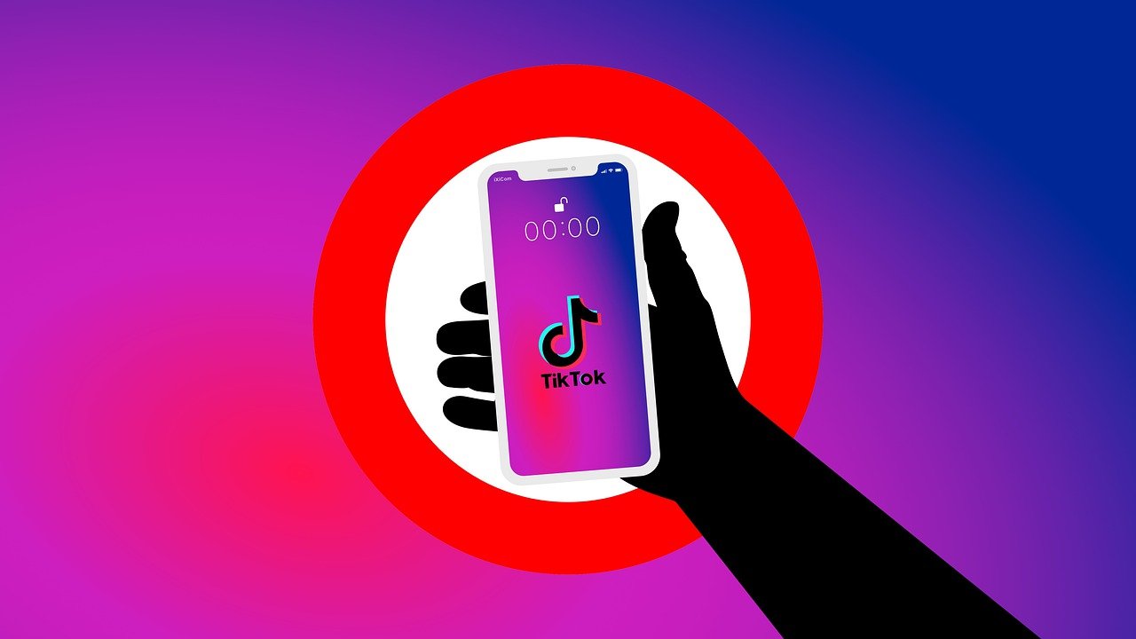 TikTok: a dangerous childhood illness. Alex Proyas TikTok: a dangerous childhood illness. Alex Proyas