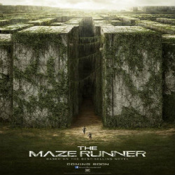 maze runner walls