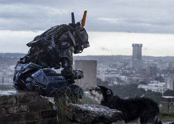 Chappie and dog